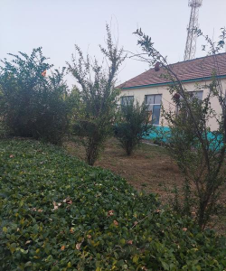 长山头农场中学