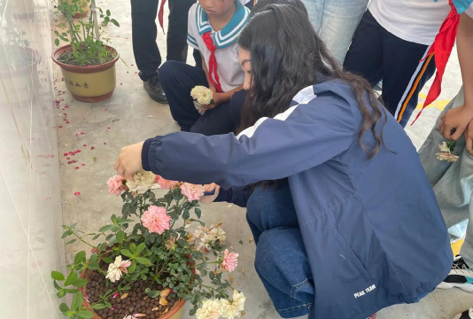 桃园县观音乡大潭国民小学