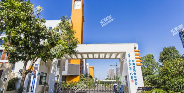 深圳华南师大附属龙岗大运学校