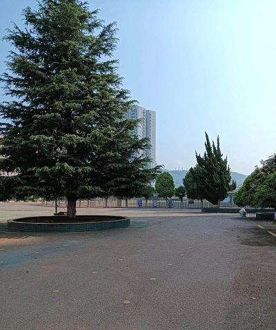 山西煤矿机械厂子弟中学