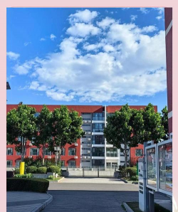 北京东北师范大学附属中学朝阳学校