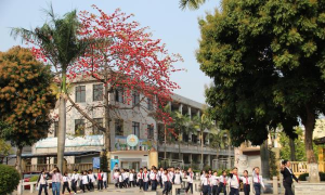 佛山市顺德区陈村镇仙涌小学