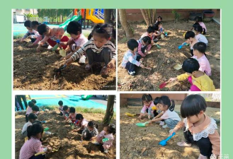 阳春市春城家乐幼儿园