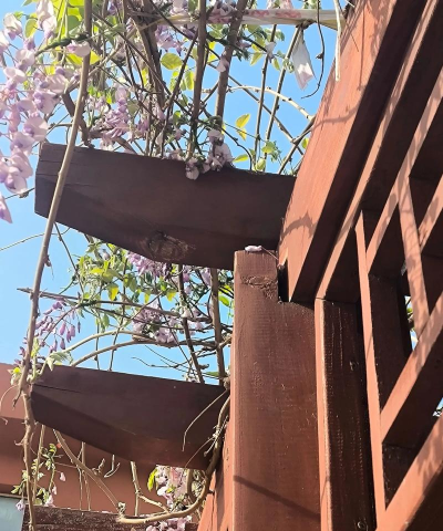 平乡县紫藤花艺术培训学校