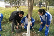 孝南区实验小学