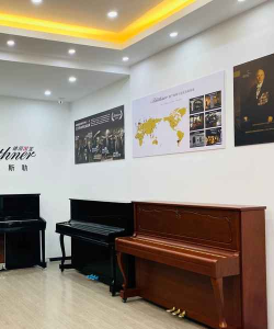 凤城市美韵金声音乐培训有限公司