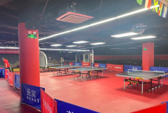 新安县乒英体育俱乐部（个体工商户）