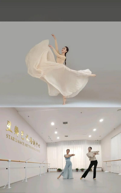 阳新县星辰艺术培训有限公司