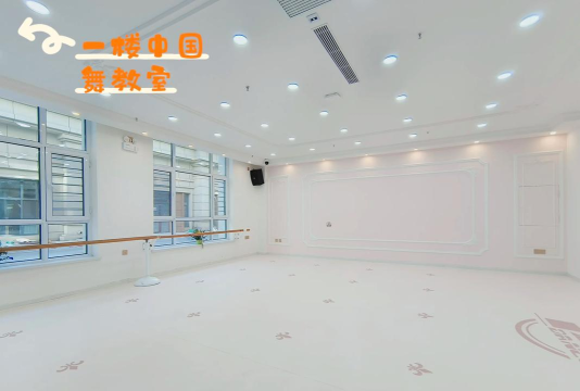 牡丹江市天姿艺德舞蹈培训学校有限公司