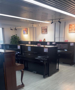 百色市右江区国乐雅韵琴行