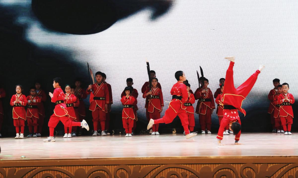 来宾市兴宾区腾飞少林拳武术培训中心