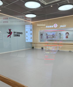 宁夏爱丽斯艺术教育中心有限公司