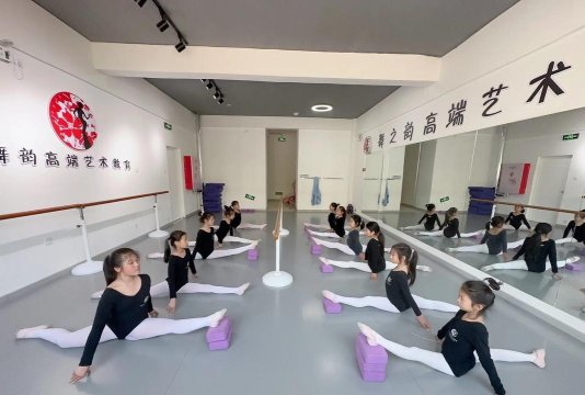 石嘴山市大武口区舞之舞教育培训有限公司