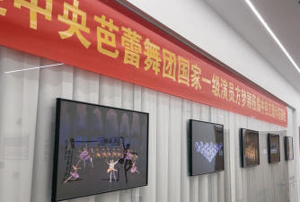 濮阳市梦芭蕾艺术培训有限公司