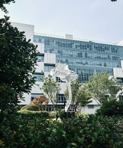 重庆远帆腾飞文化艺术有限公司