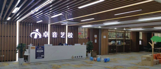 重庆市沙坪坝区卓音艺术培训中心有限公司