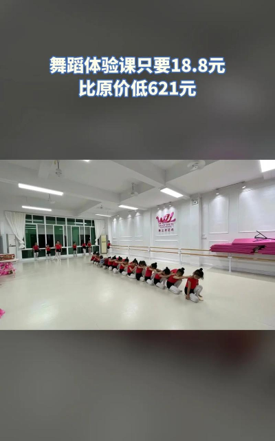 定安县舞之灵艺术培训中心有限公司