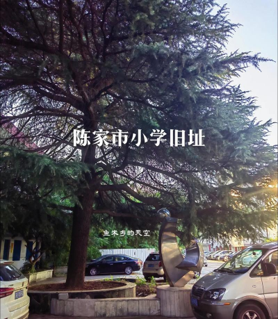 雷州市杨家镇陈家小学