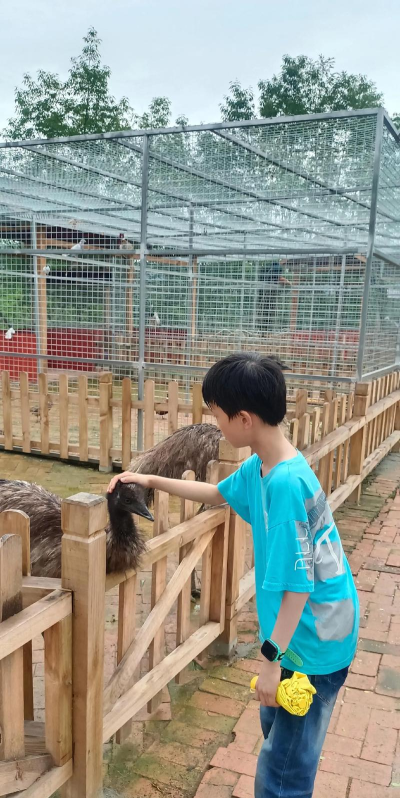 龙泉驿区大面镇小草幼儿园