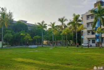 茂名市电白区旦场镇金村小学