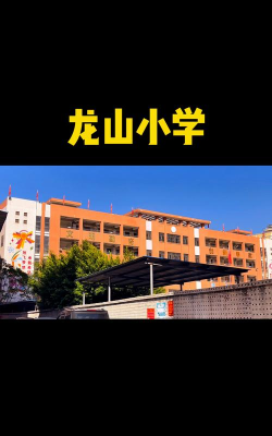 龙山小学