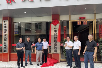 化州市平定镇岭下德明小学教学点