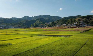 落卜镇云山私中