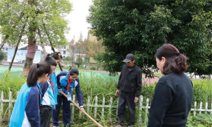 温州市平阳县麻步镇中心小学