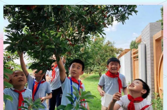 宁波送江北区修人小学