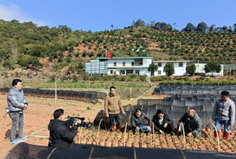 信宜市朱砂镇石印小学