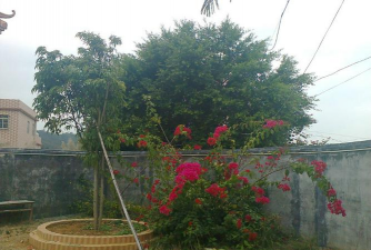 信宜市怀乡镇大威小学