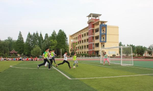 合肥市大杨中心小学