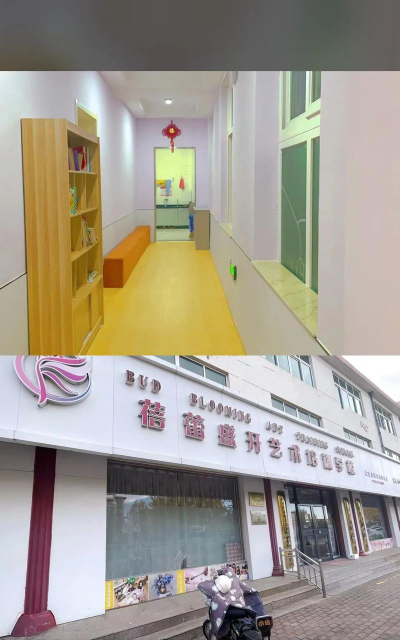 葫芦岛市连山区蓓蕾艺术辅导有限公司