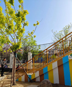 蓬莱市北沟镇北罗幼儿园