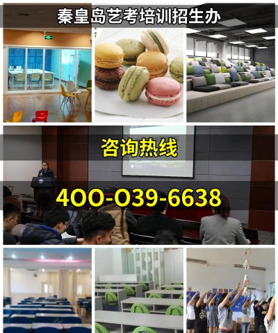 秦皇岛市海港区亚都艺术培训学校有限公司