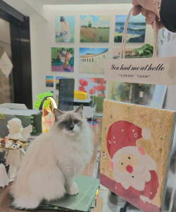 江山市名典美术培训有限公司城北分公司