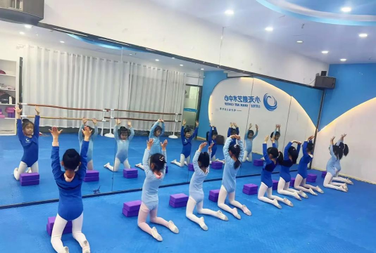 建湖县贾莉小天鹅舞蹈培训有限公司