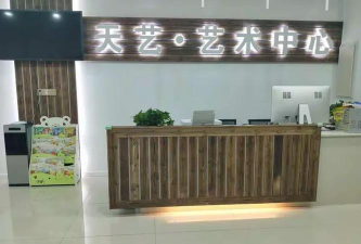 奉新县天艺艺术培训中心有限公司