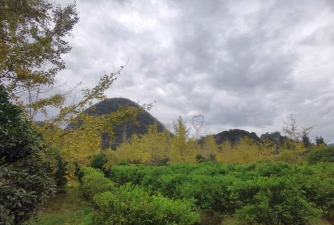 广西桂林市灵川县海洋乡初级中学