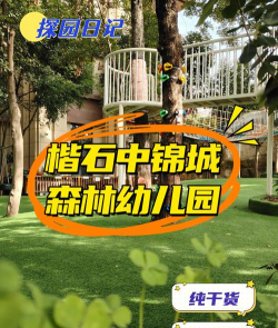 成都市青龙乡荆竹小森林幼儿园