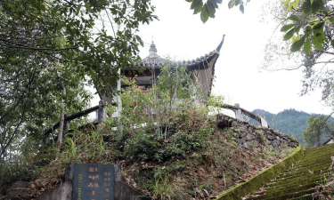 遂昌县王村口镇中心小学