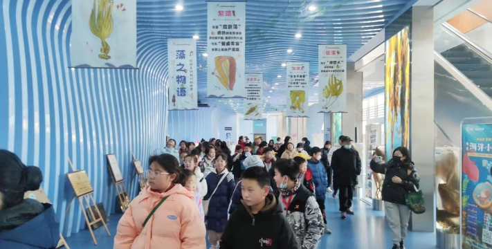 青岛浮山路小学