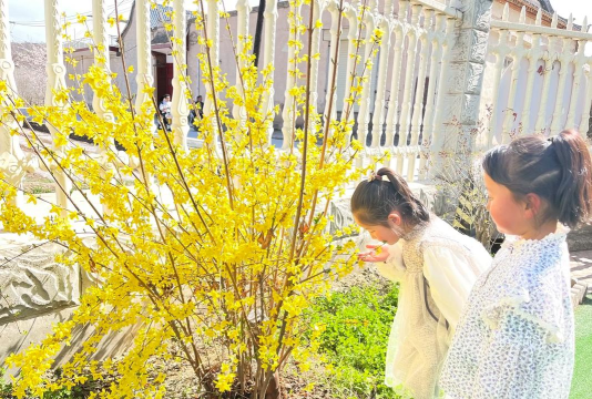 平阴县玫瑰镇野仙沟村幼儿园