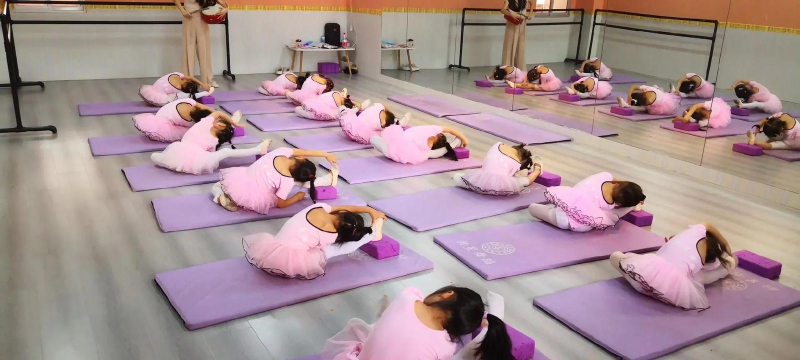 汝阳县新星艺术培训有限公司