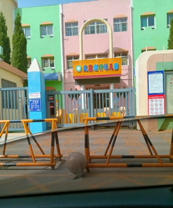 郴州北湖公园金钥匙幼儿园