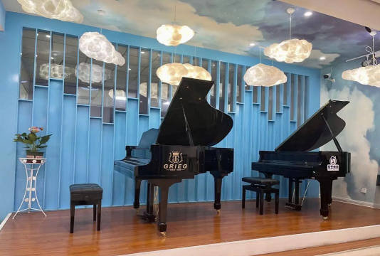 青岛市城阳区和乐未来艺术培训学校有限公司