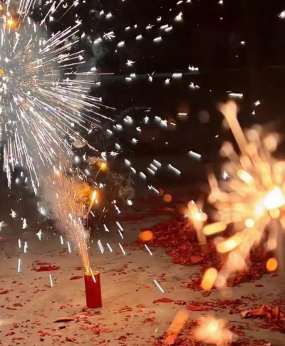 隆昌市金鹅街道墨韵书法美术培训中心有限公司