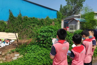 兰山区半程镇中心小学