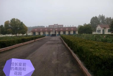 齐河县仁里集镇大张中心小学