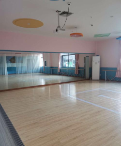 禄劝天之韵艺术培训中心有限公司